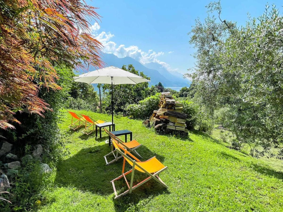 Breva Loft Tra Gli Ulivi Ed Il Lago Bellagio Zewnętrze zdjęcie