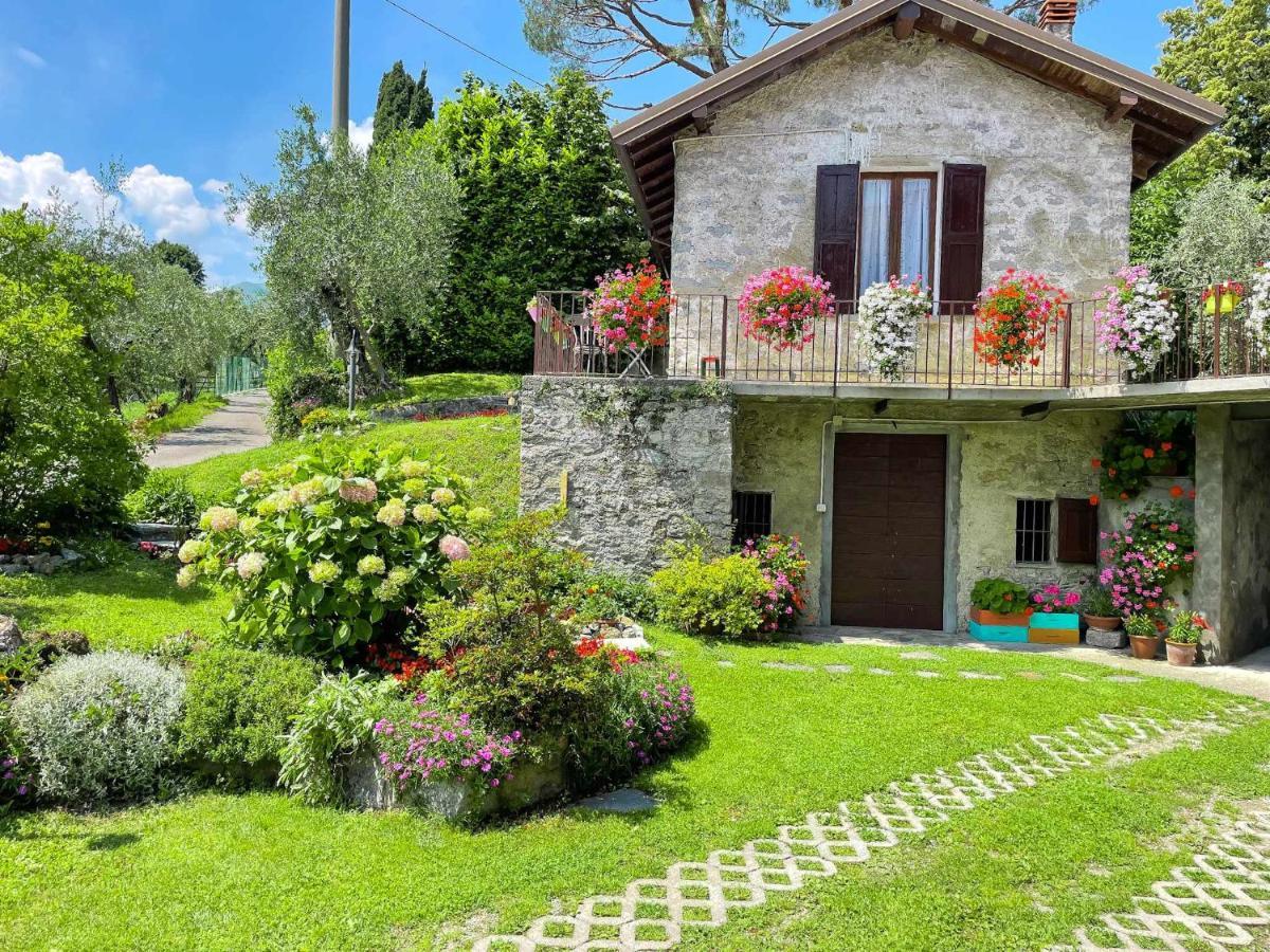 Breva Loft Tra Gli Ulivi Ed Il Lago Bellagio Zewnętrze zdjęcie