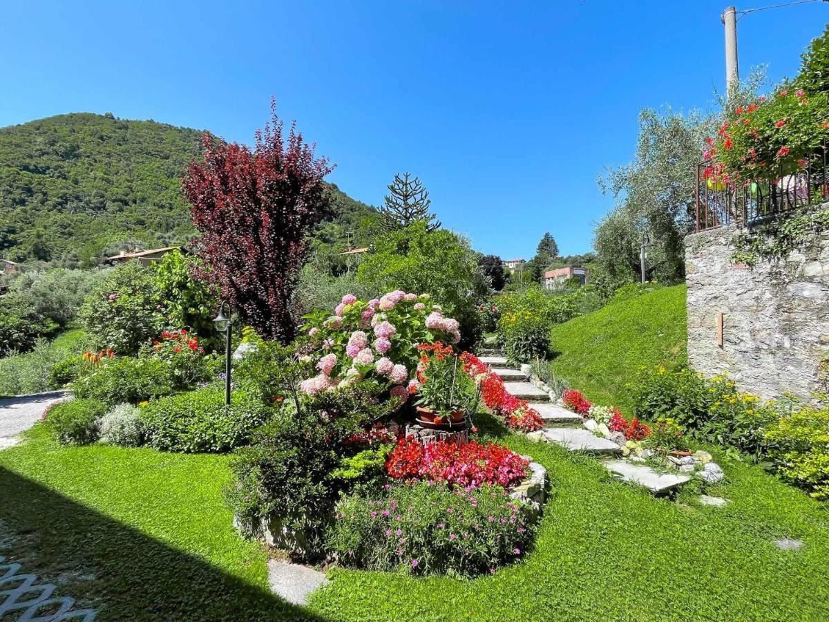 Breva Loft Tra Gli Ulivi Ed Il Lago Bellagio Zewnętrze zdjęcie